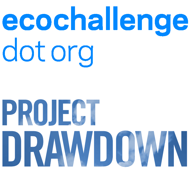 Ecochallenge.org logo